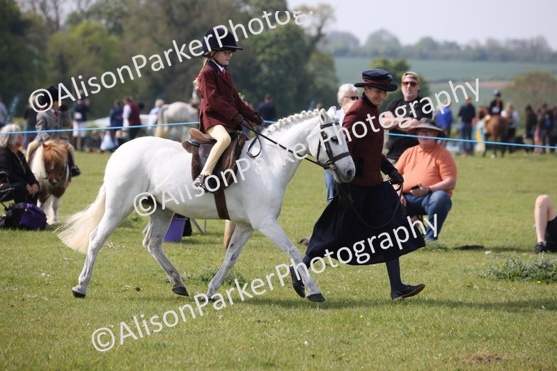 20260426-2562 - Class 31 - Leading Rein