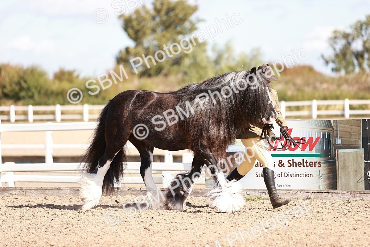 SBM_12566 - Class 404 - IH Traditional - Native Cob