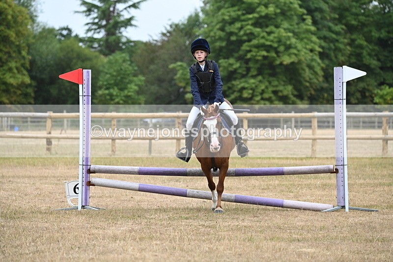 WJ6_0139 - Class 13 Novice Jumping 60cm