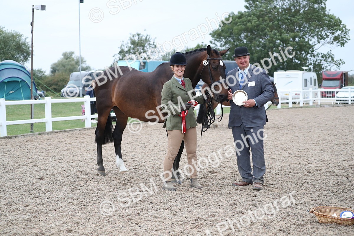 SBM_18408 - Class 318 IH Part bred Horse/Pony