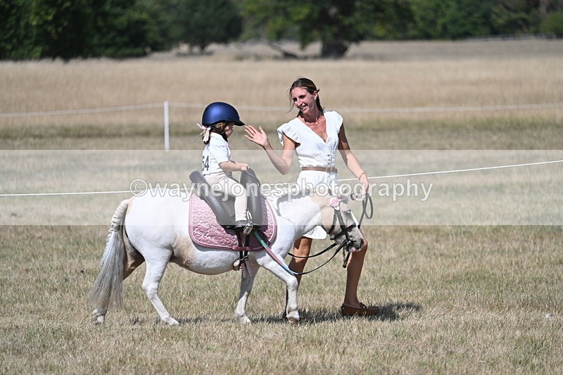 WJ7_1250 - Class 41 Prettiest Mare