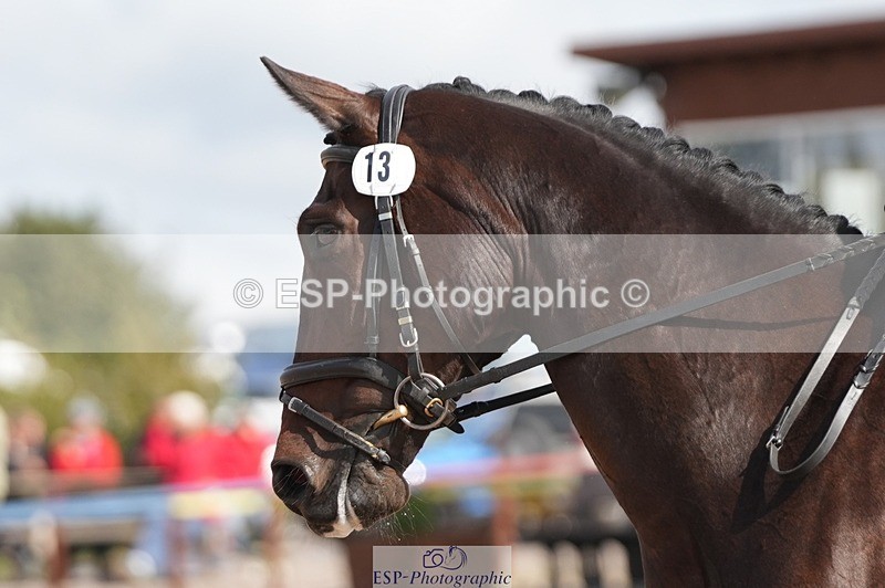 250906-122249-02164 - 013-Mairead.DolanBelperhill.Aint.She.Sweet