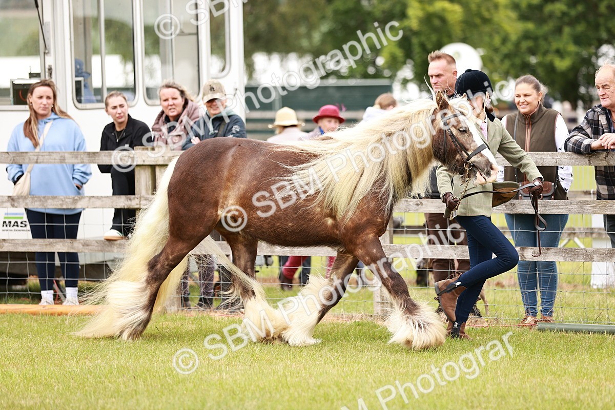 SBM_06029 - Class 39-41 TGCA In Hand and Ridden
