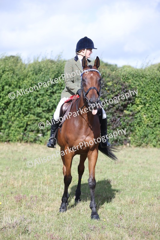 20250831-0930 - Class 14 - Ex Racehorse