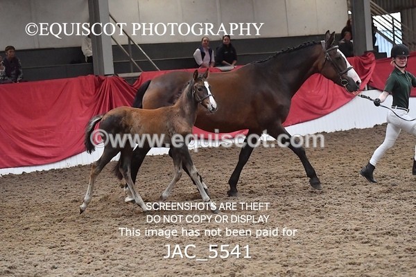 JAC_5541 - 13 Zi Real McCoy