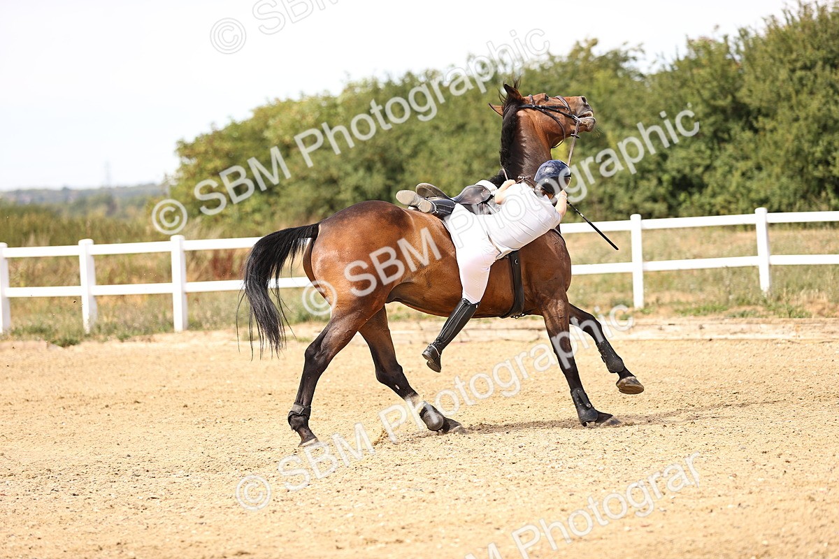 SBM_001144 - Class 4 - Senior Discovery - 1.00m Open