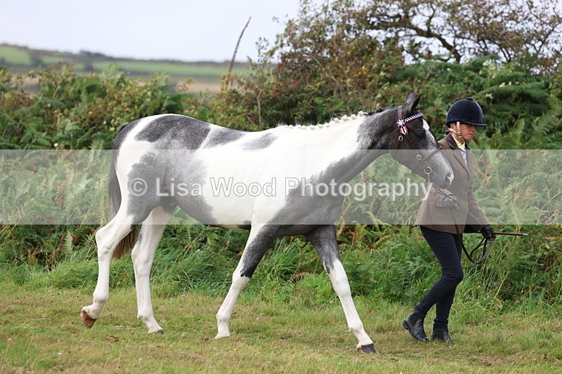 3E7A4031 - Class 15: Two Year Olds