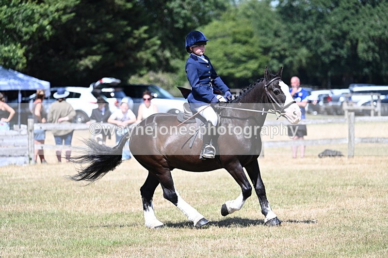 WJ7_3734 - Class 8 Ridden Veterans
