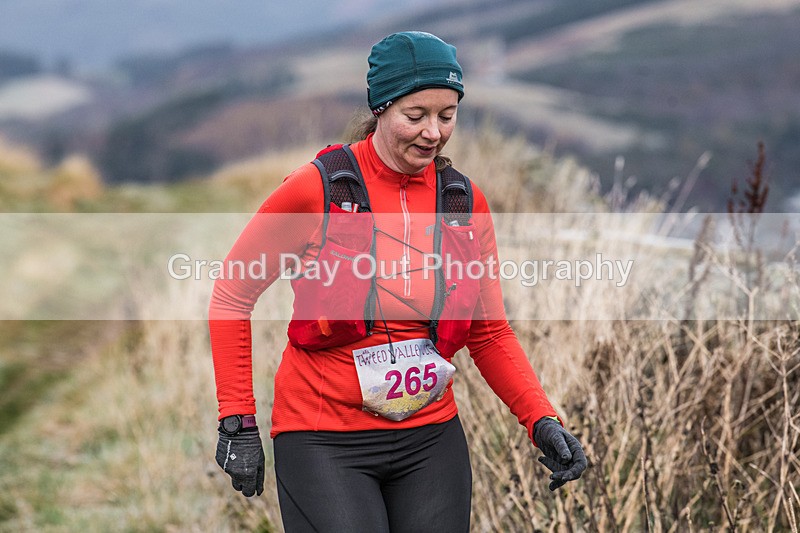 Tweed Valley-283 - High Terrain Events Tweed Valley 65 & 50K Ultra Trail Races Sunday 17th November 2024