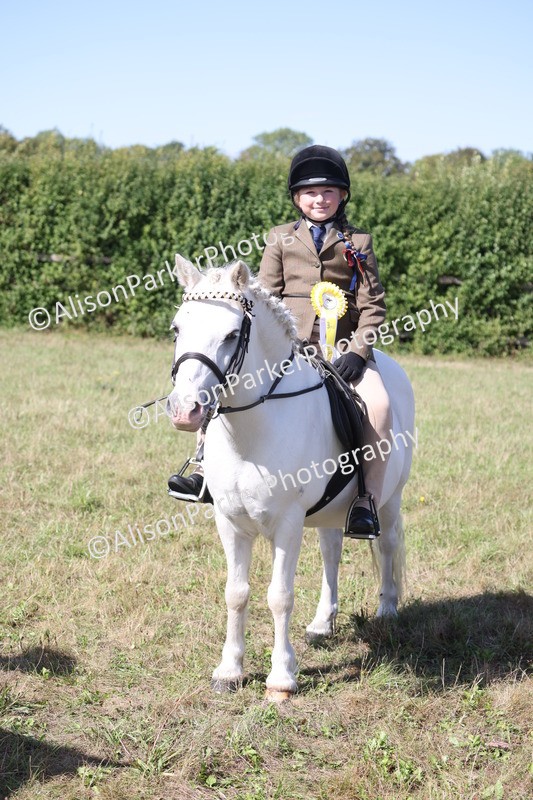 20260906-2316 - Class 16 - Family Pony