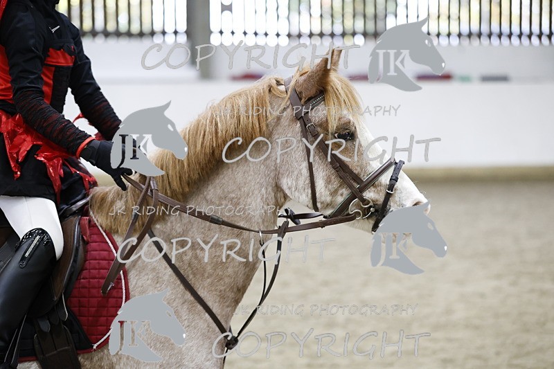 _T0A1691 - Class 3 45cm