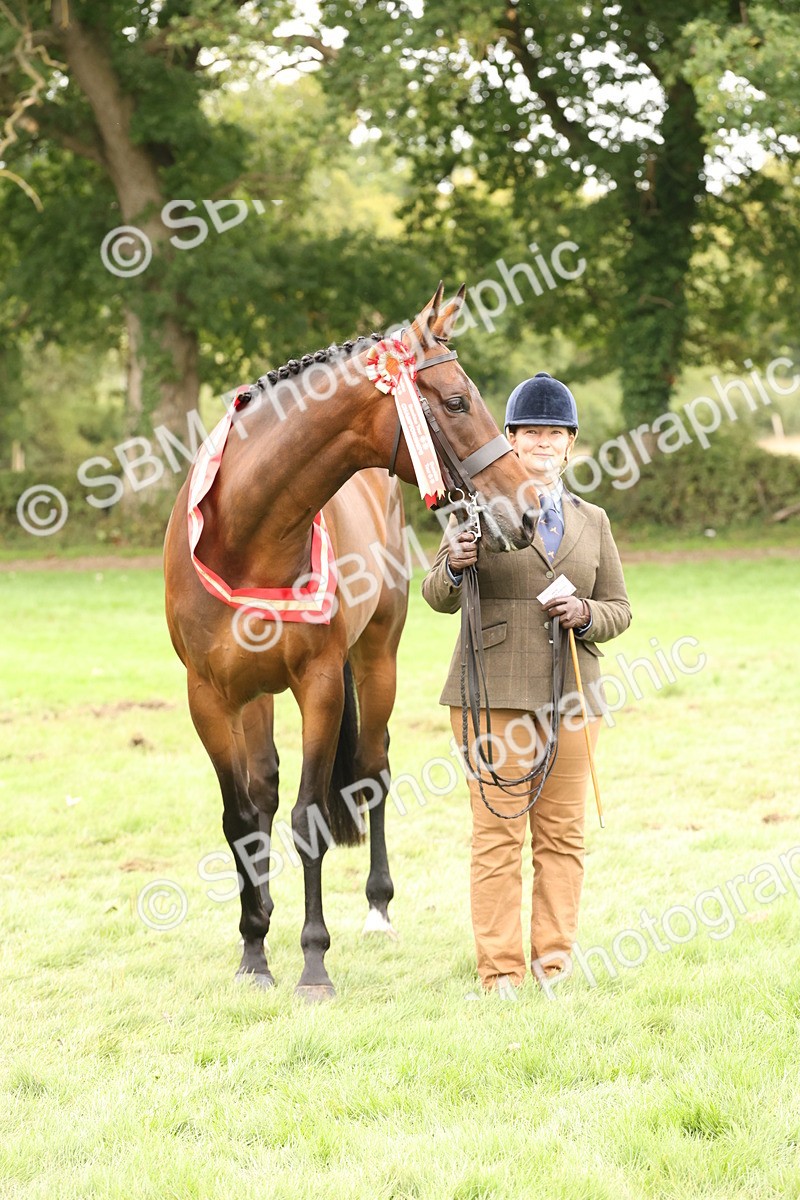 SBM_60875 - In Hand Horse Supreme Championship