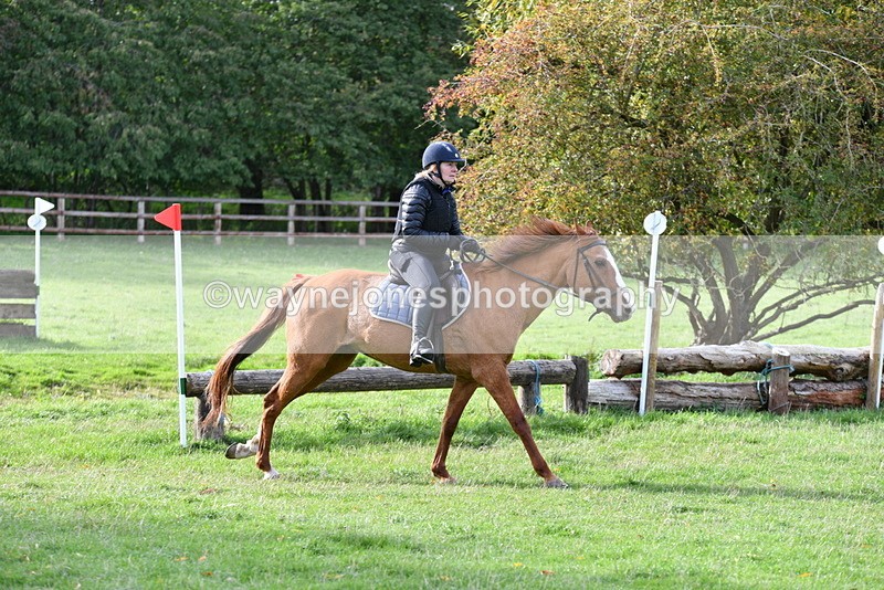 WJ5_1201 - Time 14:29 to 15:31