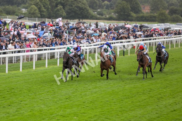 130724-Race 2-Starlust-1968 - Race 2 2.35pm John Smith's City Walls Stakes