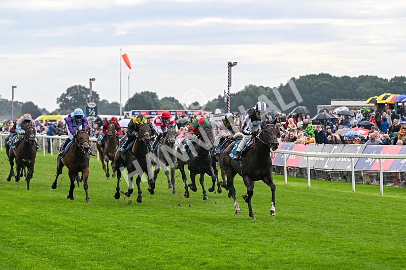 060926-Race 1-Mezzo Forte-6821 - Race 1 1.30pm Irish Thoroughbred Marketing 'Confined' EBF Maiden Stakes