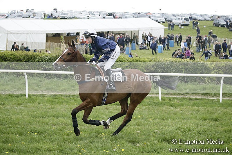 PtP 170417 501 - Old Berks Point-to-Point Lockinge 17/04/17