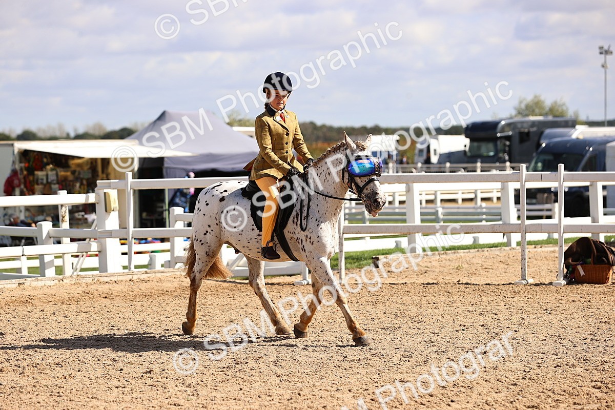 SBM_12857 - Class 409 - Grassroots Ridden - Pony