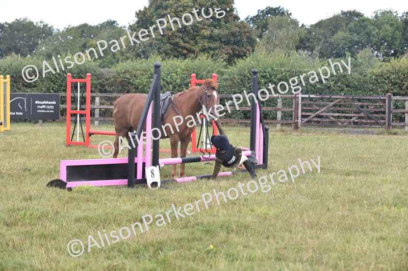 20250831-1856 - Class 9 - Absolute Novice 45cm