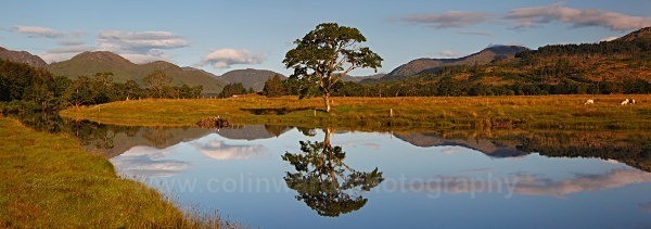Loch Eil     ref eil 4 - Panoramic Landsapes
