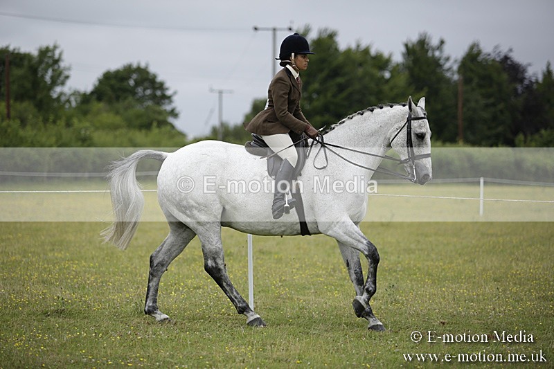 BVR160717-769 - Ring 1 BVRC Show 16/07/17