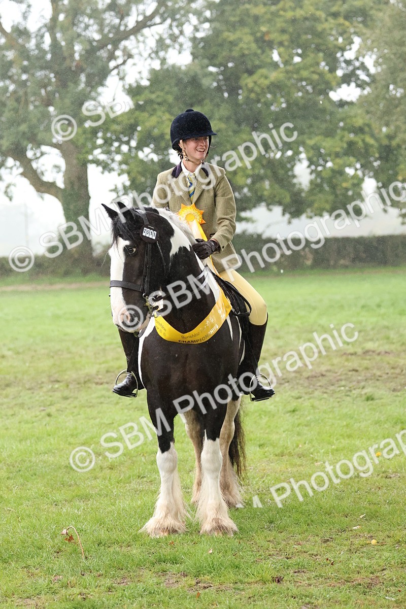SBM_73155 - Ridden Pony Supreme Championship