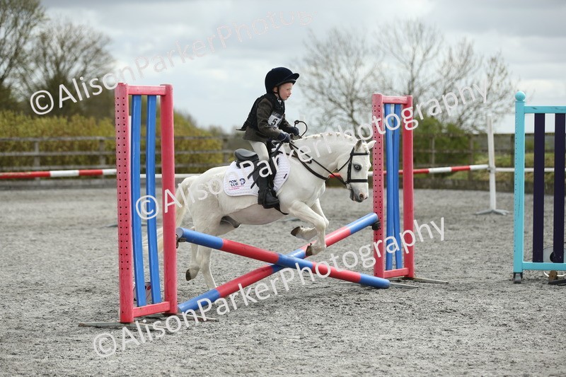 20260412-0704 - Show Jumping