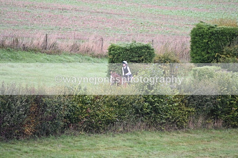 WJ6_1371 - Time 10:05 to 10:30  (3 cameras)