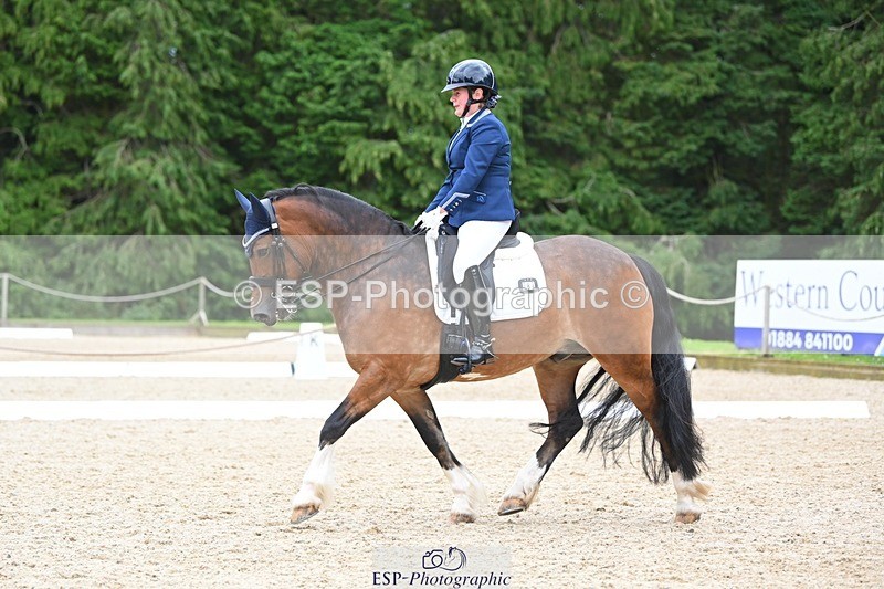 230813-142043-07730 - Cls 13 Medium Bronze 13.15 to End