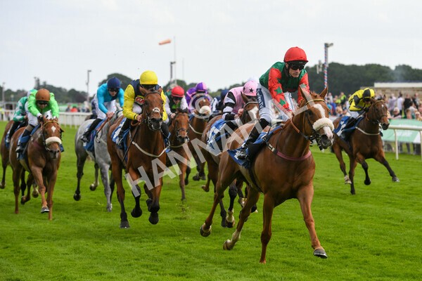 yr10062022r5-31 - Race 5 4.05pm Irish Thoroughbred Marketing Stakes