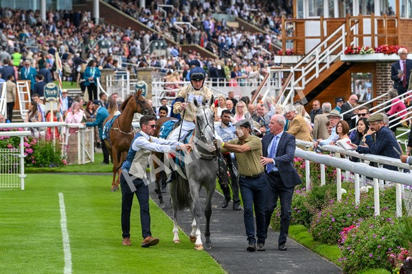 270724-Race 4-Greydreambeliever-7182 - Race 4 4.00pm Sky Bet Club EBF Fillies' Novice Stakes