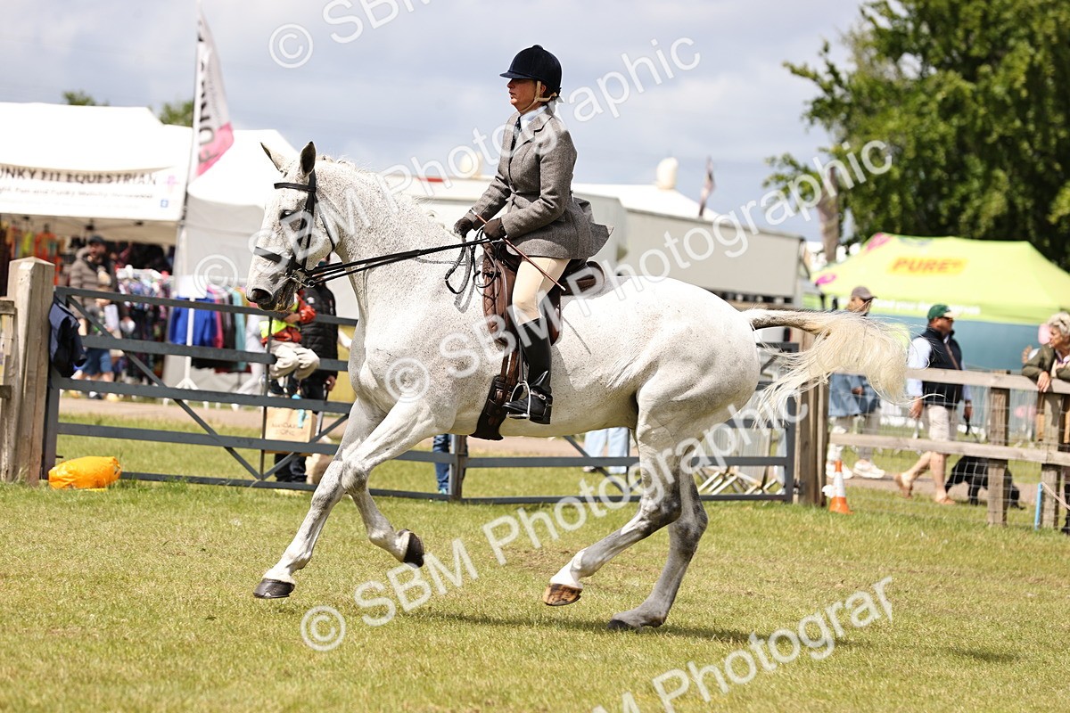 SBM_14679 - Class 88-89 - LIHS BSHA Rising Star of Ridden Hunter Type