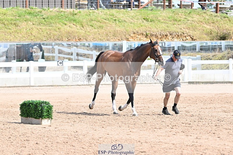 240717A-153425-02887 - Trot Up 3pm to 4pm