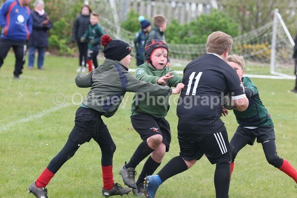 DAD22538 - Rookies/Mini Rugby on 7s Day