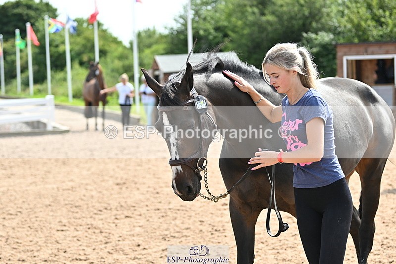 240717A-154229-02998 - Trot Up 3pm to 4pm