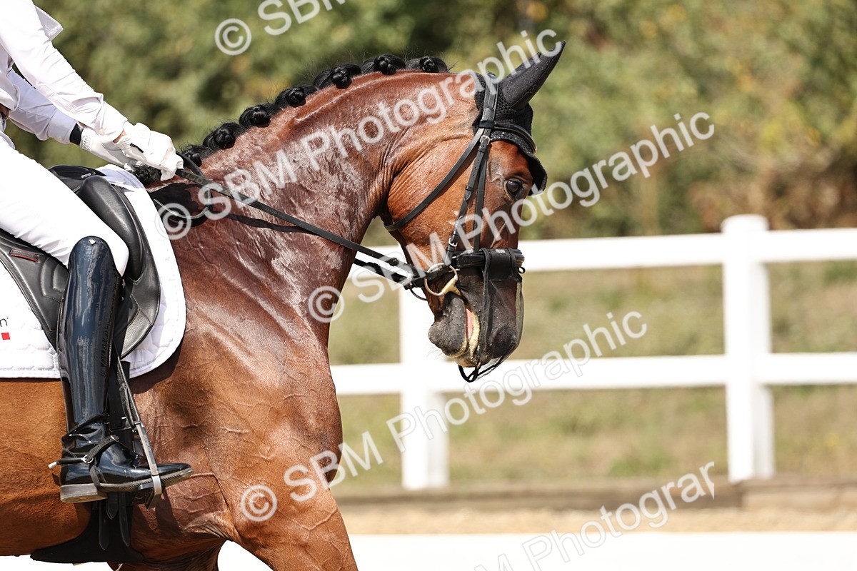 SBM_018762 - Class 16 - Novice 5 - 12.08-13.11