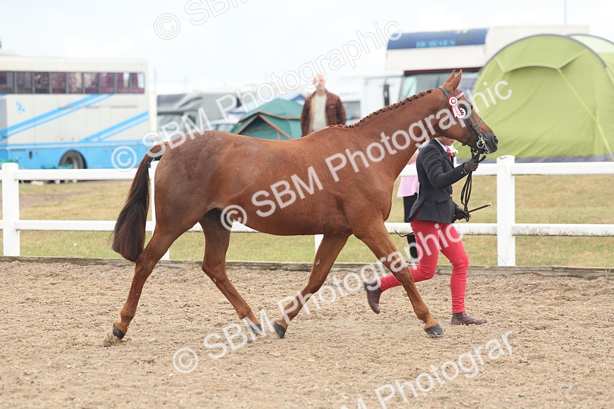 SBM_08486 - Class 29 - IH Veteran Pony