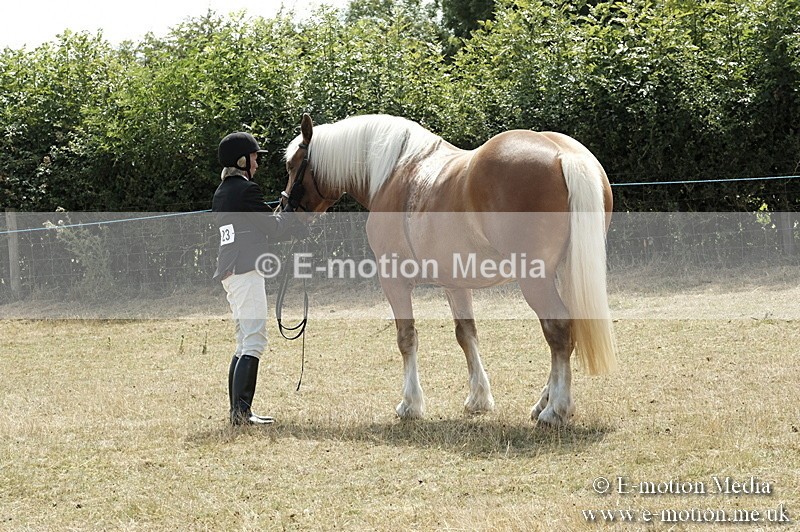 _PJP6067 - BVRC Show 2018 Ring 1