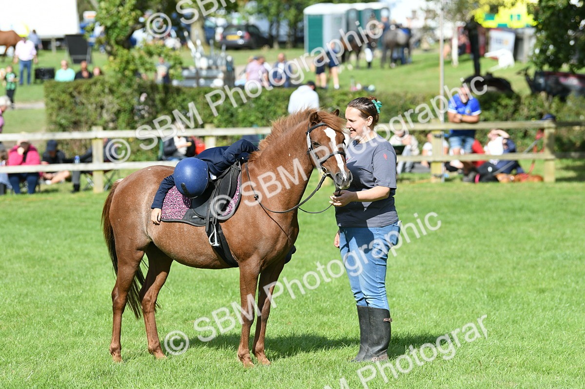 SBM_47156 - S12 - Family Horse & Pony