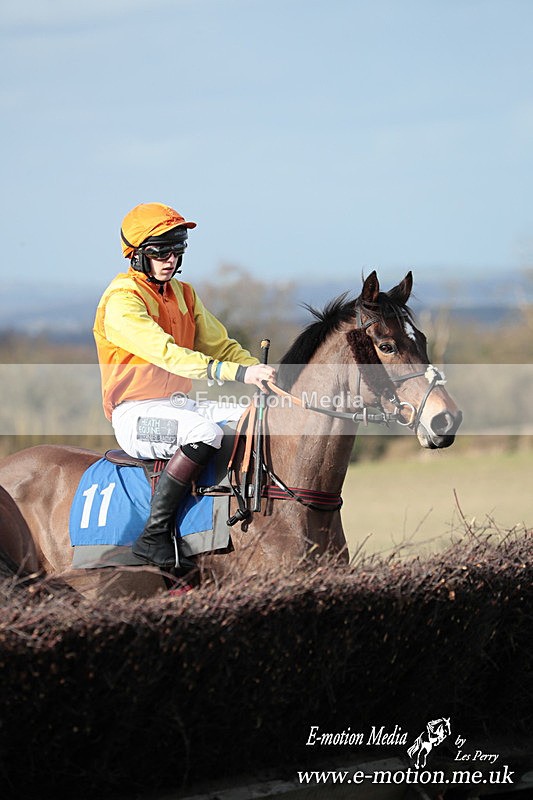 PtP 220225 794 - Kimblewick Point-to-Point  Kingston Blount 22/02/25