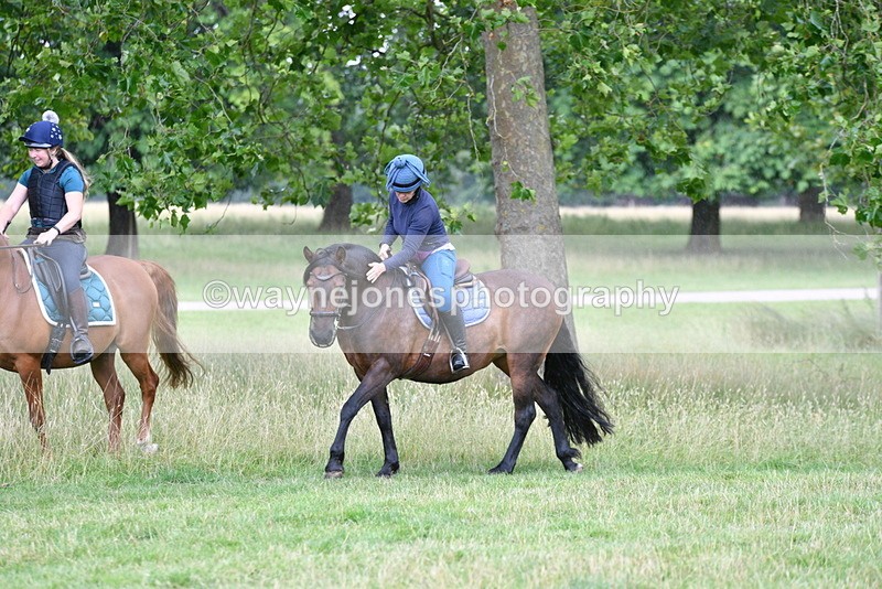 WJ5_2296 - Time at Jump 14:02 to 14:46