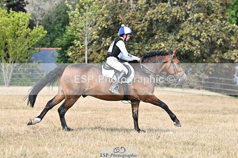 250824A-144834-38613 - 2147-George.Walford-meadow.sweet.conker