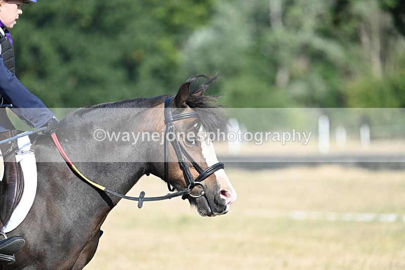 WJ7_8935 - Time 09:27 to 10:03