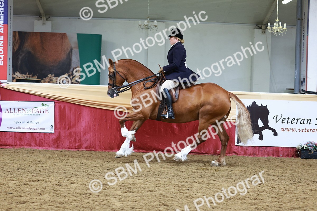 SBM_18595 - Class 952 - M&M Ridden Supreme Final