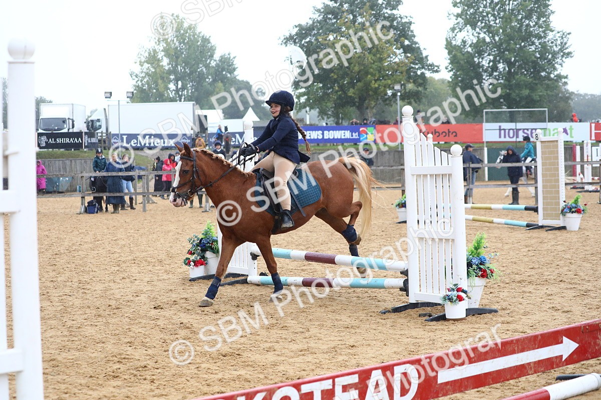 SBM_71662 - J4 - Mini Tour Junior Pony 45cm Championship