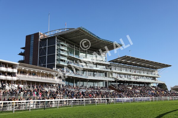 yr08102022r5-27 - Race 5 3.50pm The Coral Committed To Safer Gambling EBFStallions.com Maiden Stakes