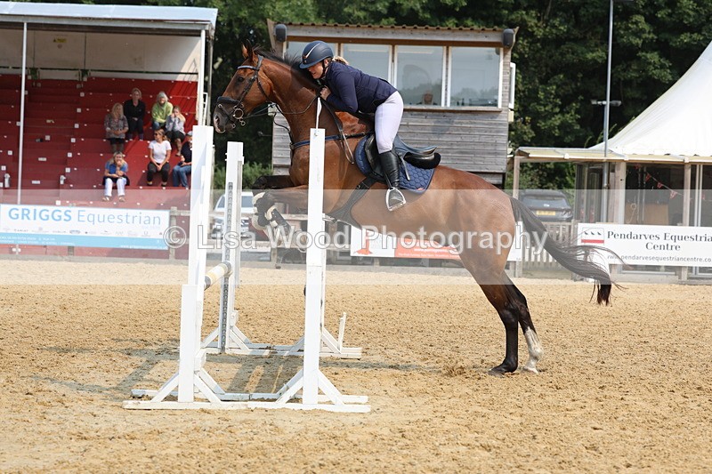 3E7A1504 - Class 4: Senior British Novice/90cm open