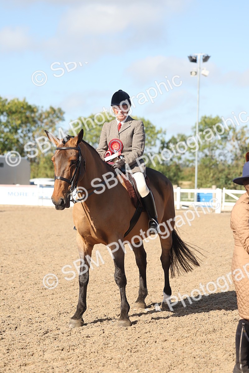 SBM_22336 - Class 803 - Ridden Combination 65+