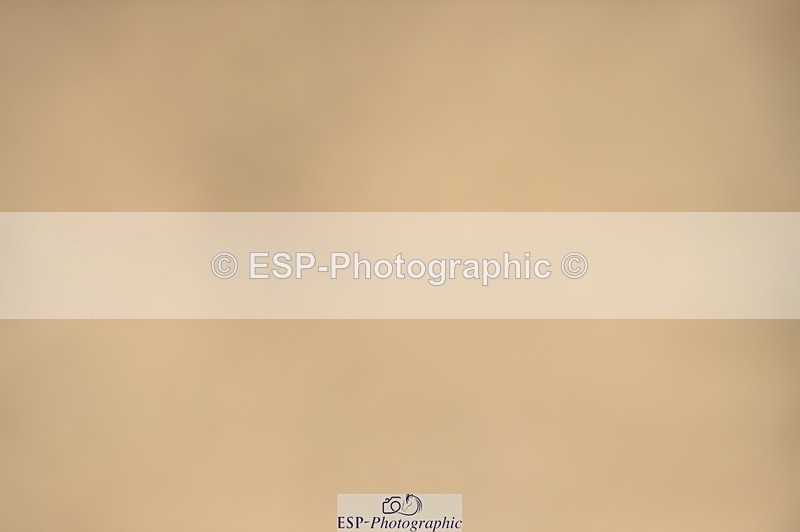 250622-152112-16361 - Cls 59 FEI PSG Inc Presentations