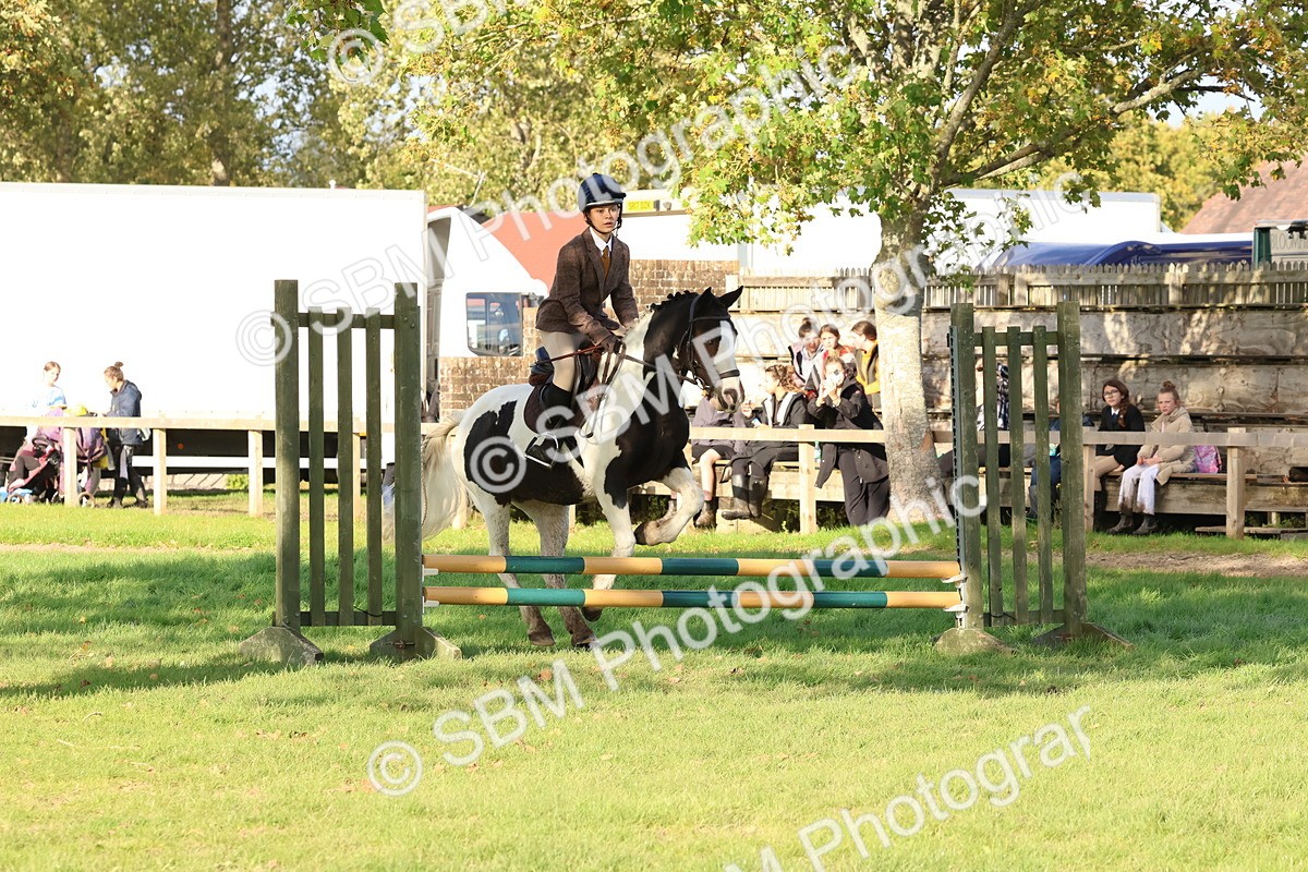 SBM_52600 - S13 - Pony Club Pony