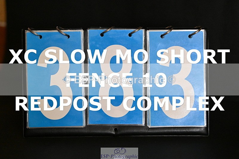 ESP_383 - E-383-Amy.Harris